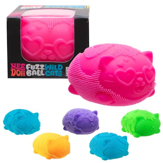 Schylling NeeDoh Fidget Toy